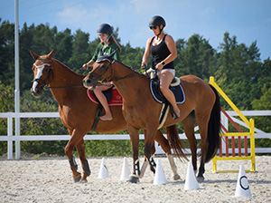 Sportovní jezdecký klub Sportino (Opava)